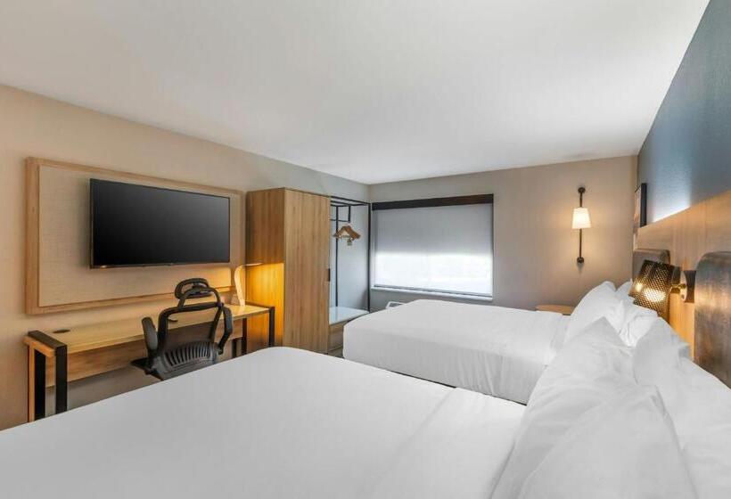 Quarto Estandar Cama Queen para Deficientes Físicos, City Express by Marriott Duluth