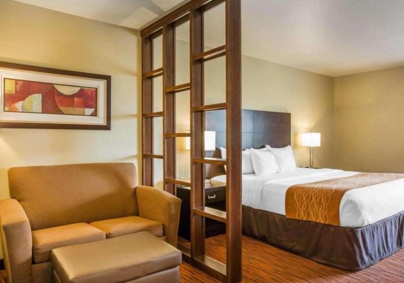 장애인을 위한 스위트, Comfort Suites