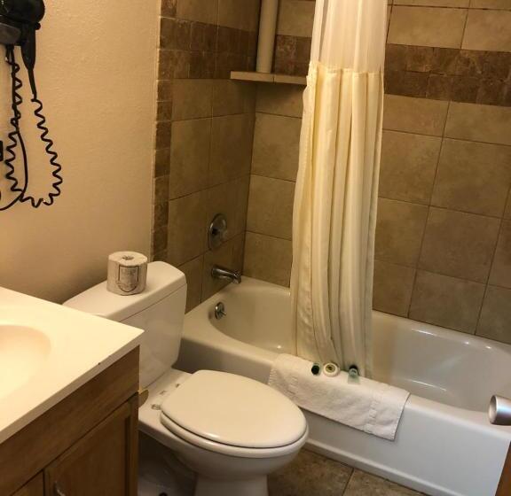 标准间, Downtown Value Inn