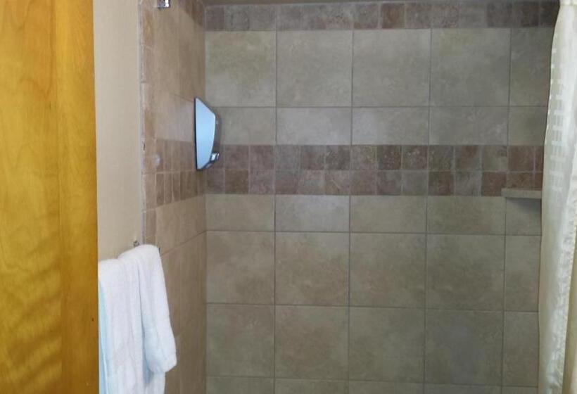 带2个双人床的标准工作室, Downtown Value Inn