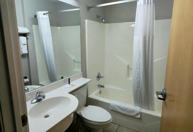 Студия Deluxe, Microtel Inn & Suites Claremore