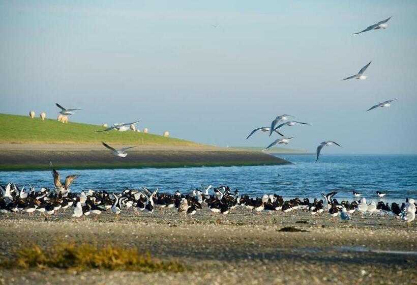 디럭스 룸, Breeze Ameland