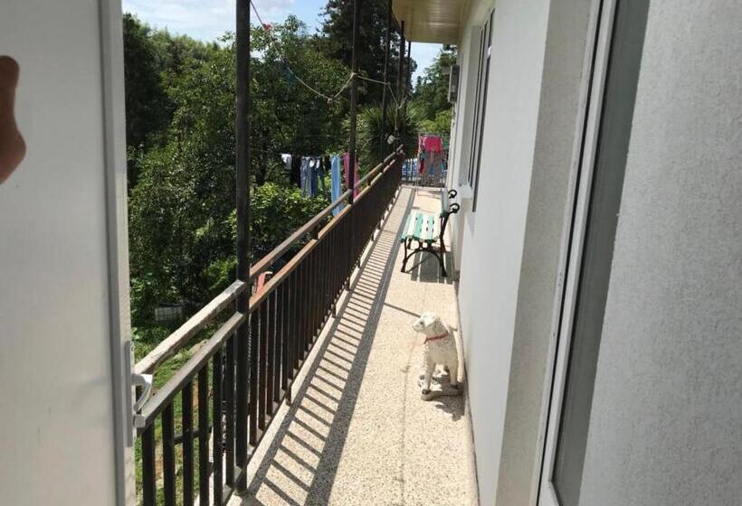 اتاق استاندارد سه تخته با سرویس بهداشتی مشترک, Nika's Guest House
