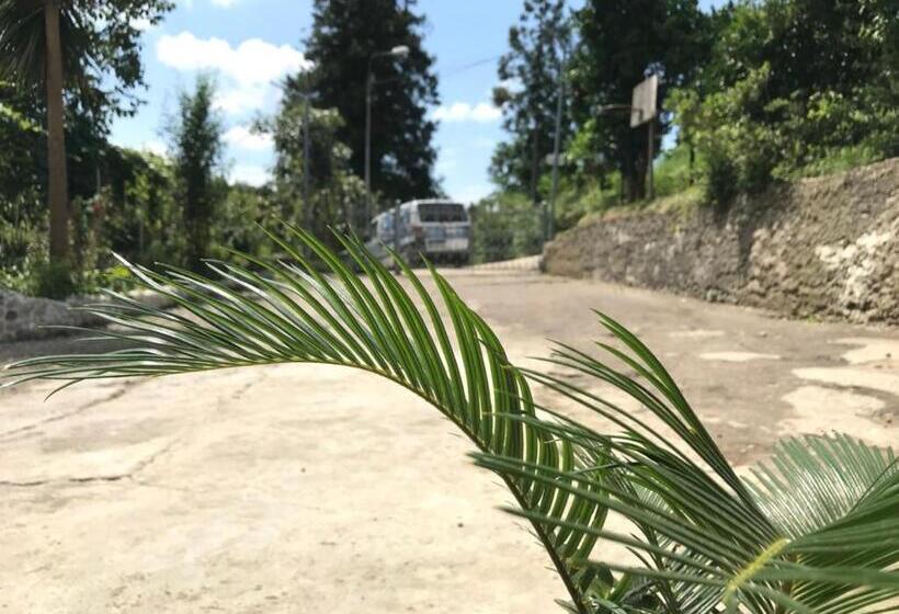 اتاق استاندارد سه تخته با بالکن, Nika's Guest House