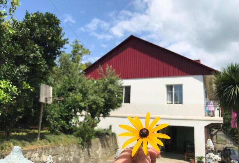 اتاق استاندارد سه تخته با بالکن, Nika's Guest House