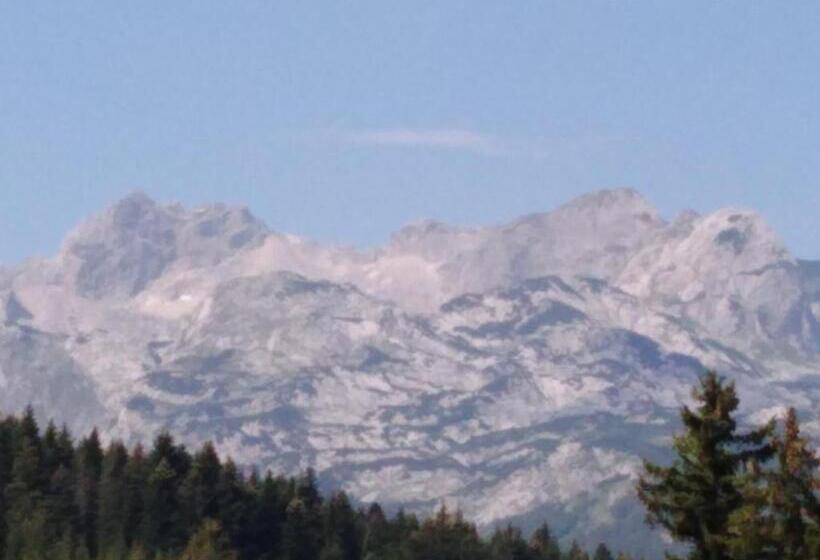 آپارتمان 1 خوابه با تراس, Apartments Durmitor