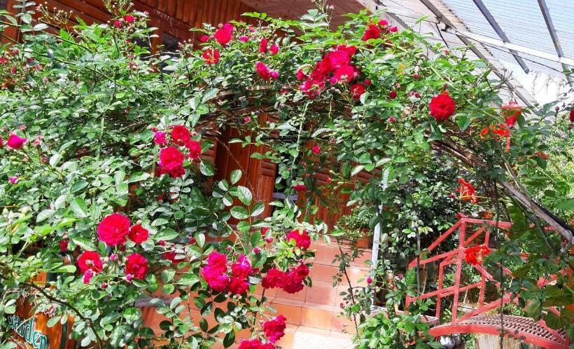 اتاق خانوادگی با چشم‌انداز باغ, Dang Khoa Garden Inn