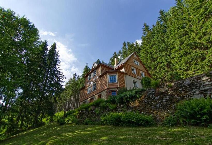 آپارتمان 1 خوابه, Penzion Eden