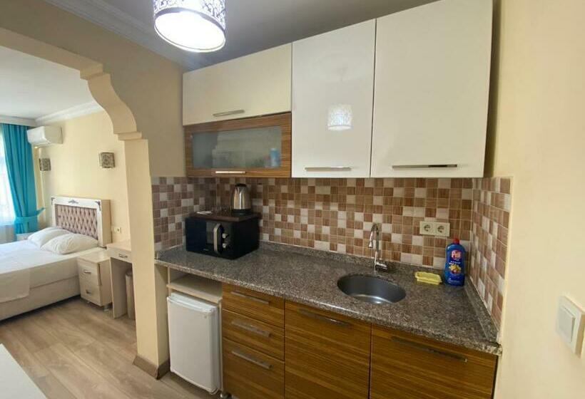 آپارتمان 1 خوابه با بالکن, Amida House