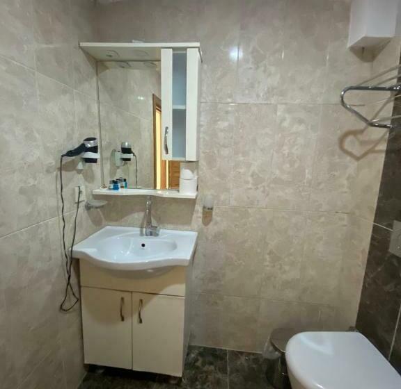 آپارتمان 1 خوابه با بالکن, Amida House