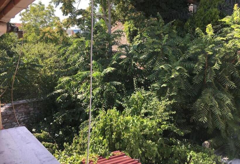 آپارتمان 1 خوابه با بالکن, Amida House