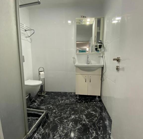 آپارتمان 1 خوابه با چشم‌انداز باغ, Amida House