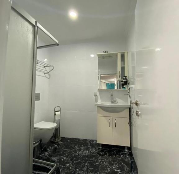 آپارتمان 1 خوابه با چشم‌انداز باغ, Amida House