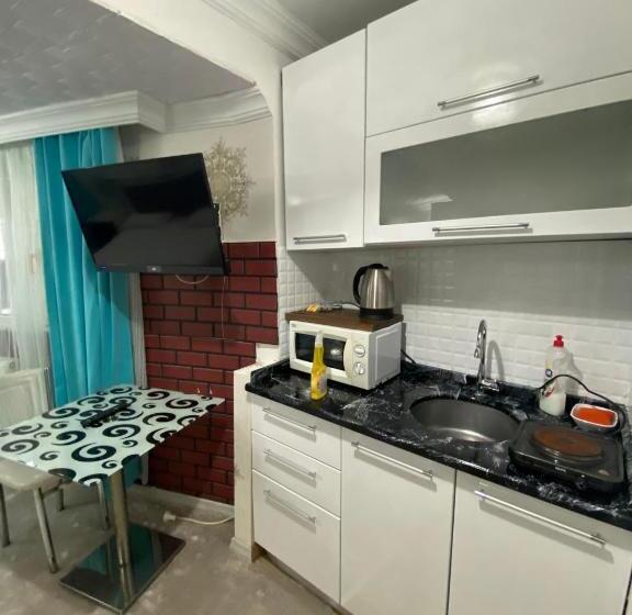 آپارتمان 1 خوابه با چشم‌انداز باغ, Amida House