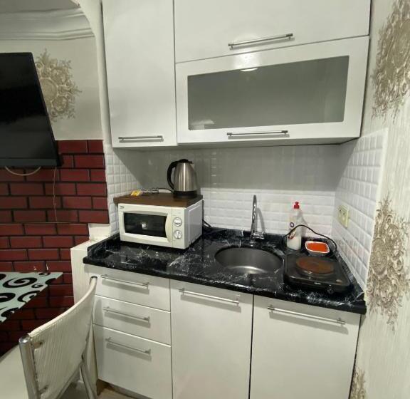 آپارتمان 1 خوابه با چشم‌انداز باغ, Amida House