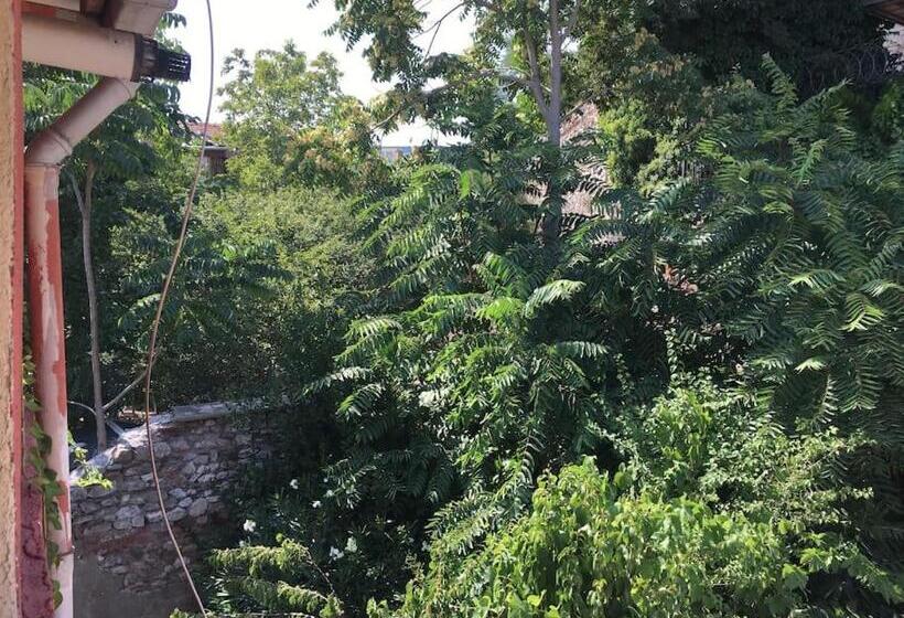 آپارتمان 1 خوابه با بالکن, Amida House