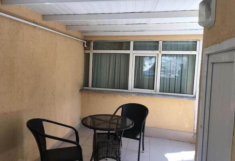 آپارتمان 1 خوابه با بالکن, Amida House