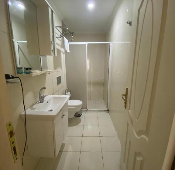آپارتمان 1 خوابه, Amida House