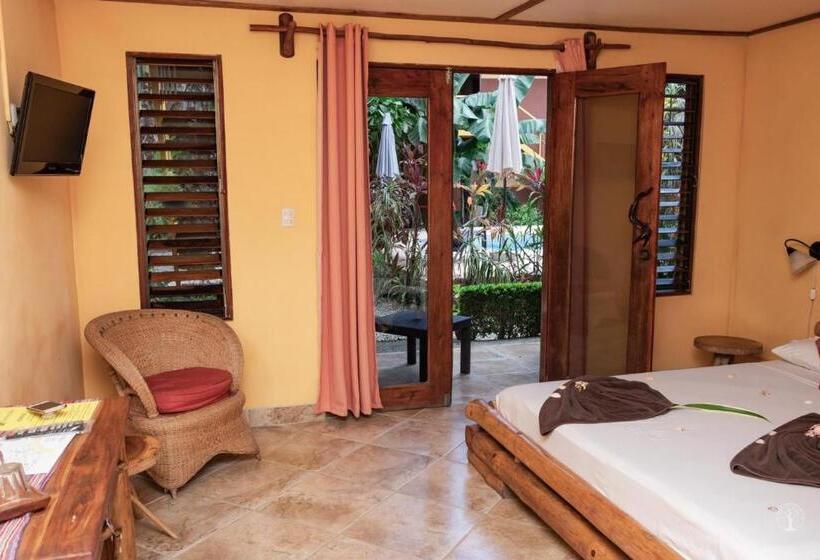 اتاق سوپریور, Samara Palm Lodge