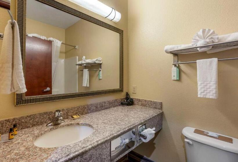 Люкс Кровать Кинг, Best Western Plus Springfield Airport Inn