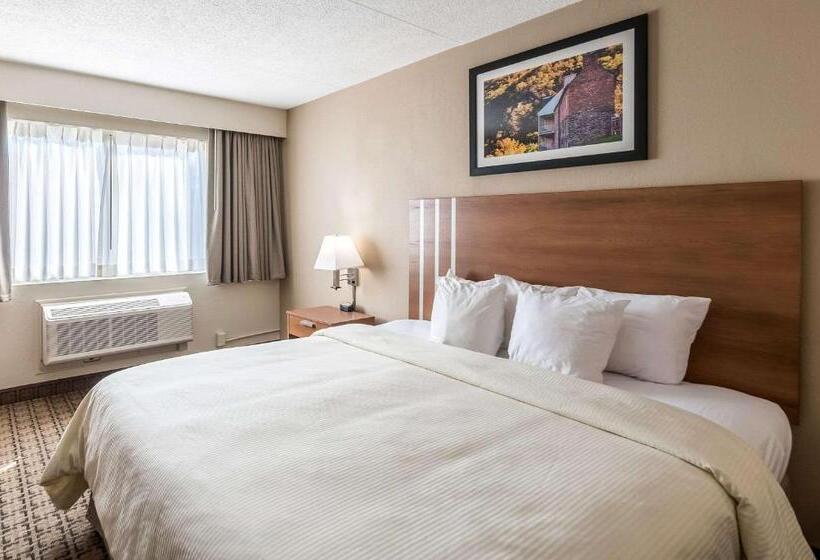 스탠다드 룸 킹사이즈 침대, Clarion Inn Harpers Ferrycharles Town