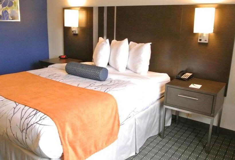اتاق استاندارد با تخت دو نفره بزرگ برای معلولان, Guesthouse Inn & Suites Lexington