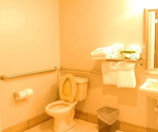 اتاق استاندارد با تخت دو نفره بزرگ برای معلولان, Guesthouse Inn & Suites Lexington