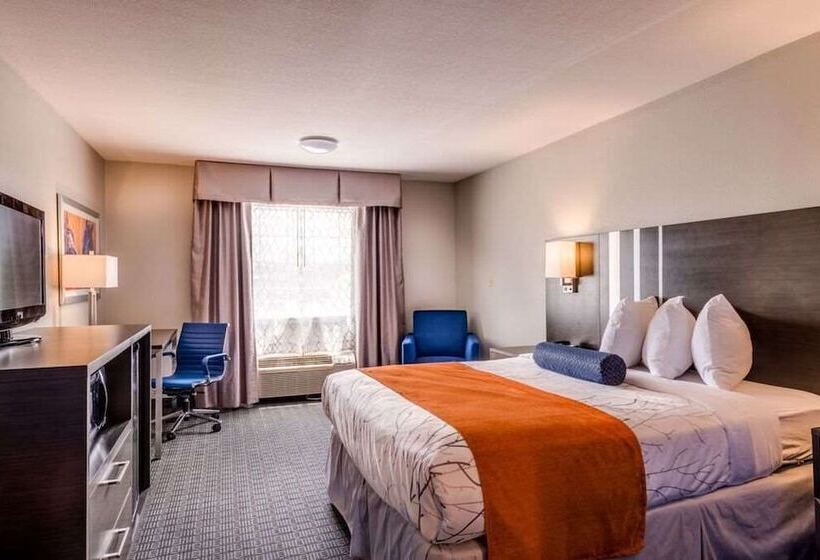 اتاق استاندارد با تخت دو نفره بزرگ برای معلولان, Guesthouse Inn & Suites Lexington