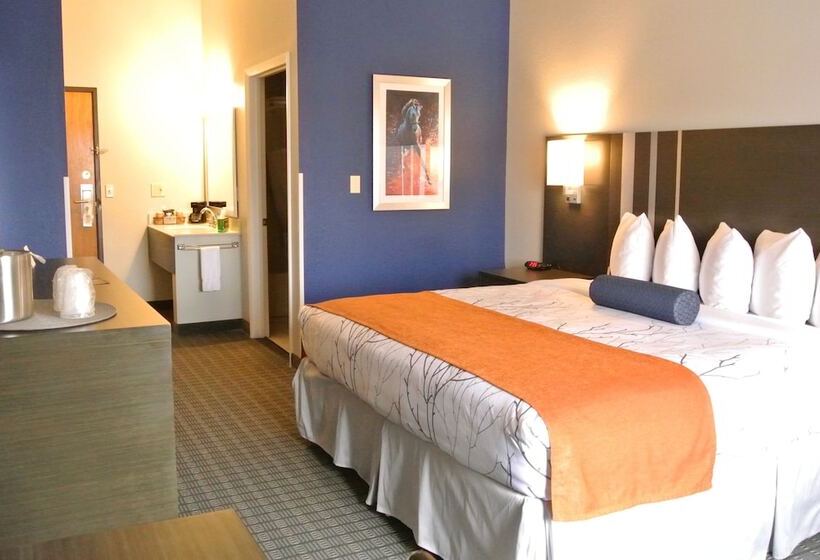 اتاق استاندارد با تخت دو نفره بزرگ برای معلولان, Guesthouse Inn & Suites Lexington