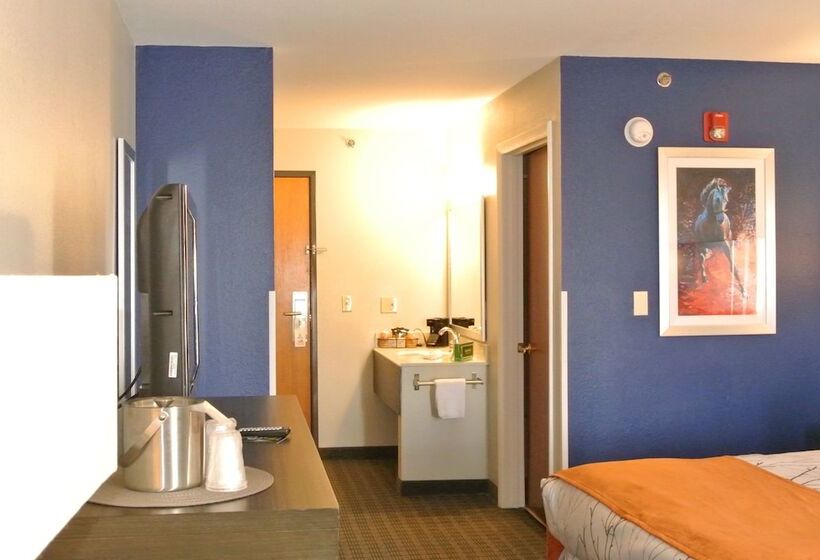 اتاق استاندارد با تخت دو نفره بزرگ برای معلولان, Guesthouse Inn & Suites Lexington