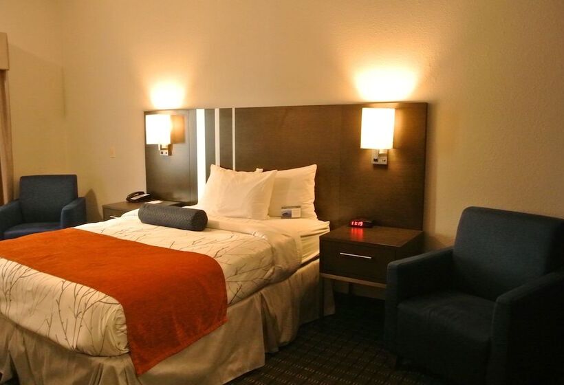 اتاق استاندارد با تخت دو نفره بزرگ برای معلولان, Guesthouse Inn & Suites Lexington