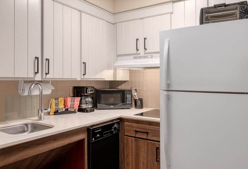 سوئیت 2 خوابه, Staybridge Suites Allentown Airport Lehigh Valley, An Ihg