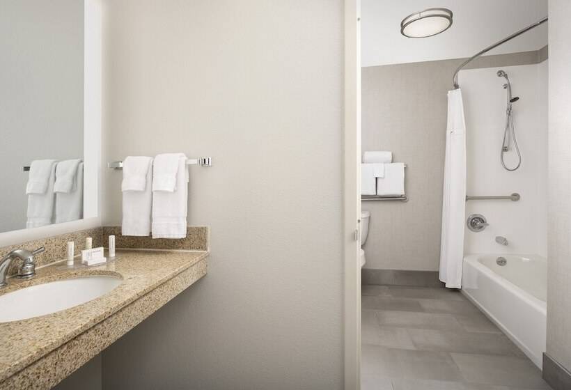 장애인을 위한 스위트, Residence Inn Denver South/park Meadows Mall