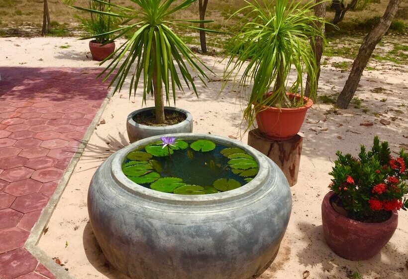 خانه 1 خوابه, Dracaena Resort