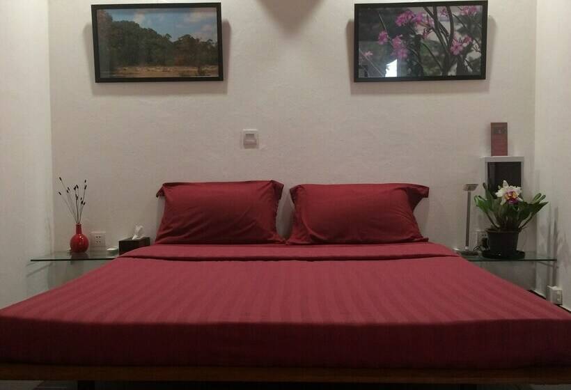 خانه 1 خوابه, Dracaena Resort
