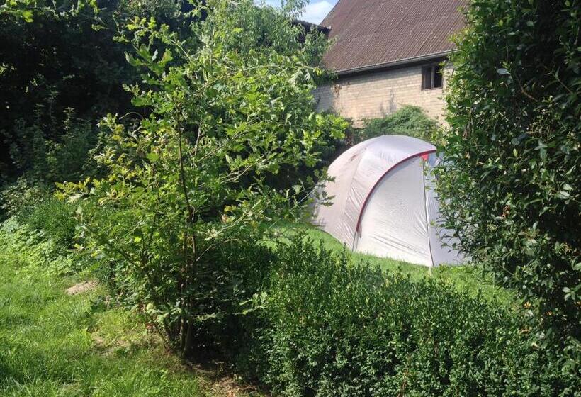 Standard Tent, Landhof Liebsch, Mit Pool Und Sauna
