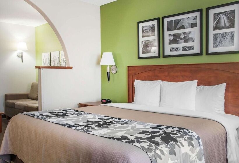 套房, Sleep Inn & Suites Conference Center And Water Park