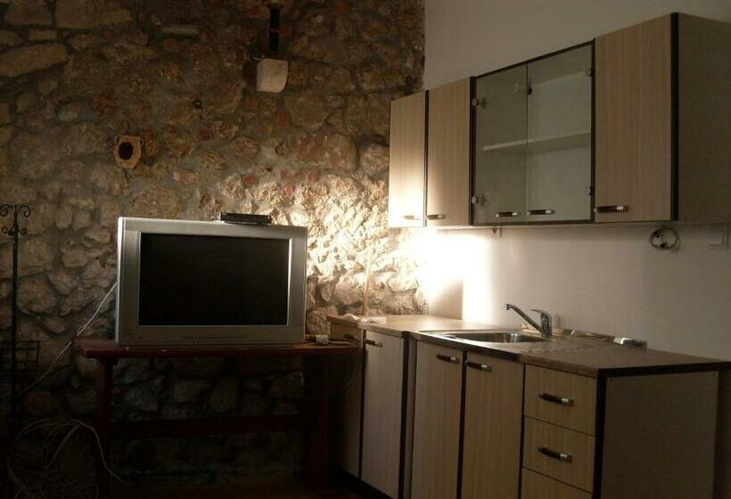 استودیوی استاندارد, Guest House Fosa