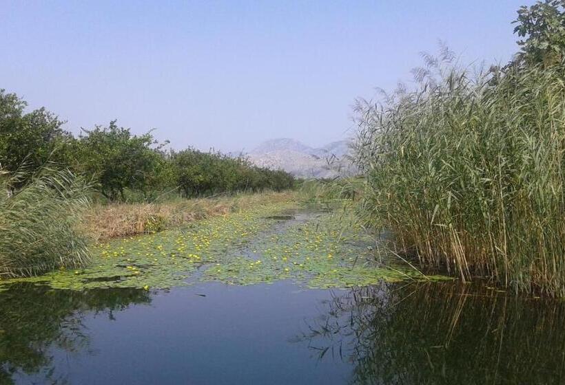 سوییت, Guest House Fosa