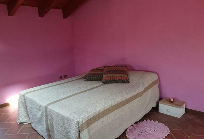 Номер Стандарт, B&b Il Loto