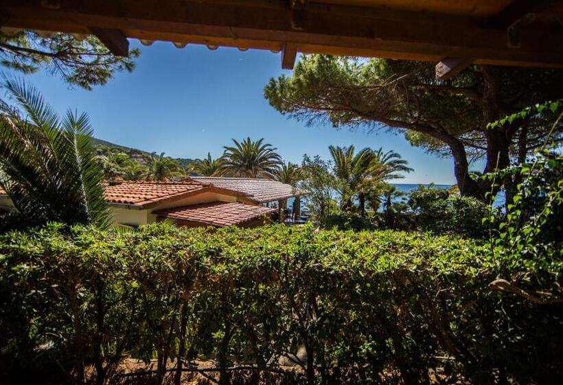 آپارتمان 1 خوابه با چشم‌انداز دریا, Mandel 2 Residence