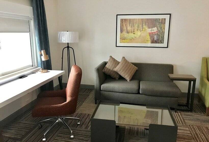 주니어 스위트, Hilton Garden Inn Davis Downtown