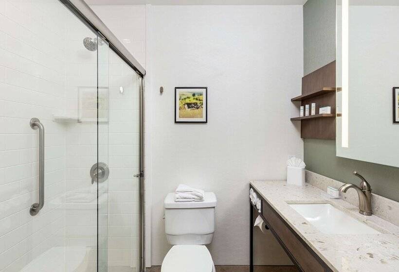 스탠다드 룸 더블 침대 2개, Hilton Garden Inn Davis Downtown