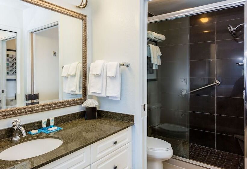 Студия Стандарт, Hyatt House Santa Clara