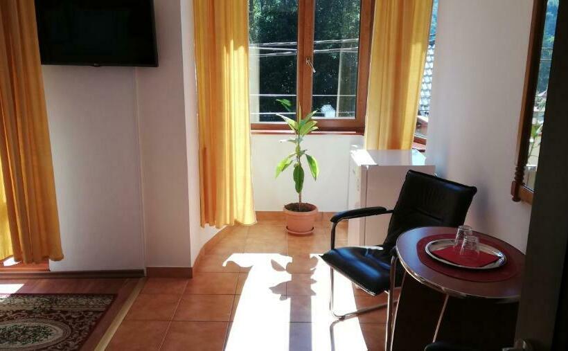 استودیوی سوپریور, Pension Casa Soarelui