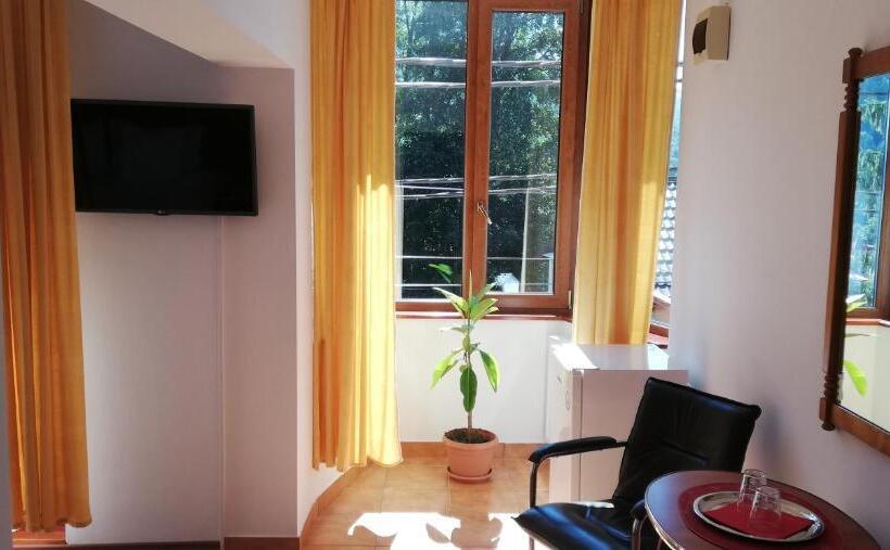 استودیوی سوپریور, Pension Casa Soarelui