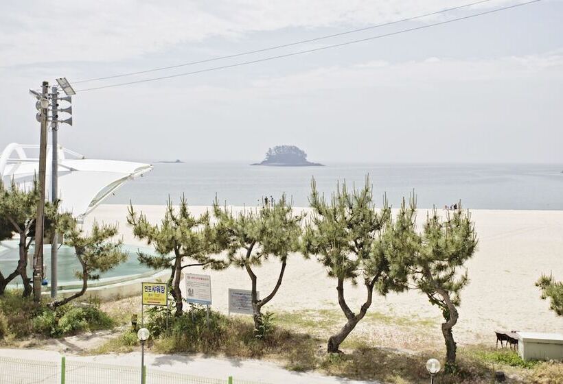 복층 룸, Solsum House
