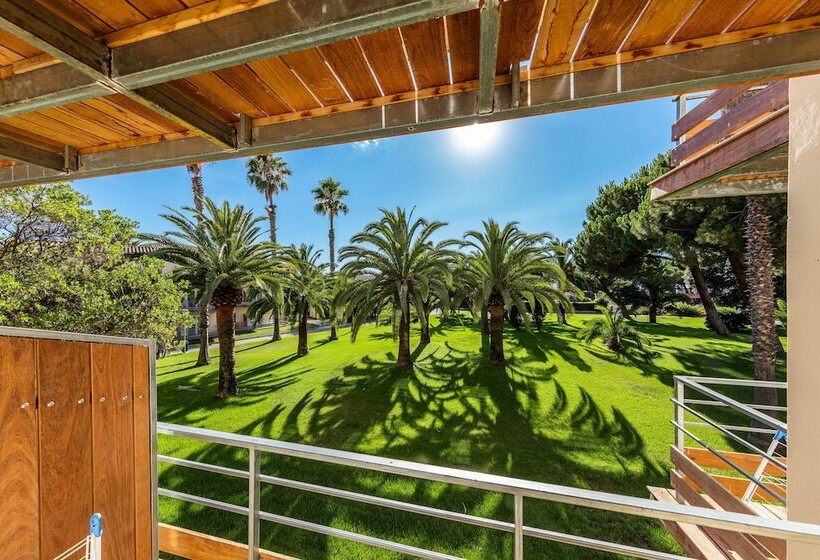 اتاق سوپریور یک تخته, Club Marina Viva
