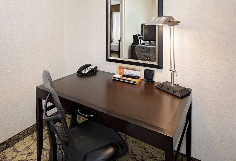 Номер Стандарт 2 Двуспальные Кровати, Hilton Garden Inn Denver Tech Center