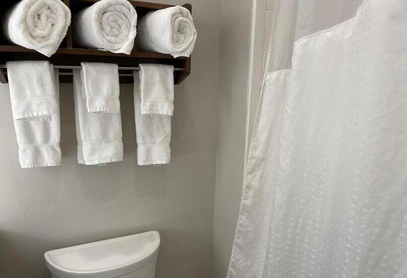 Suite met Kingsize Bed, Holiday Inn Express & Suites   Indianapolis Northwest, An Ihg